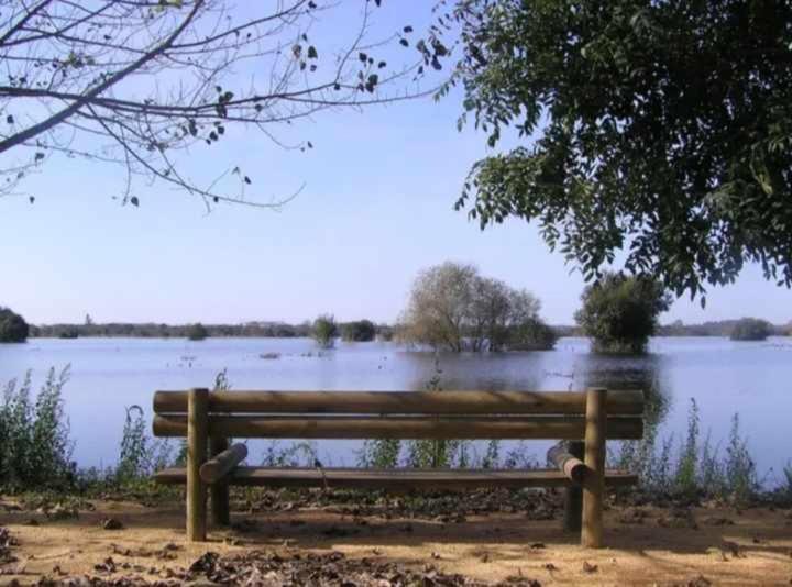 Currais O Pequeno Paraiso Entre O Mar E A Serra Aveiro Zewnętrze zdjęcie